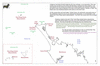 coo1d29 muriwhenua going south_thumb.gif